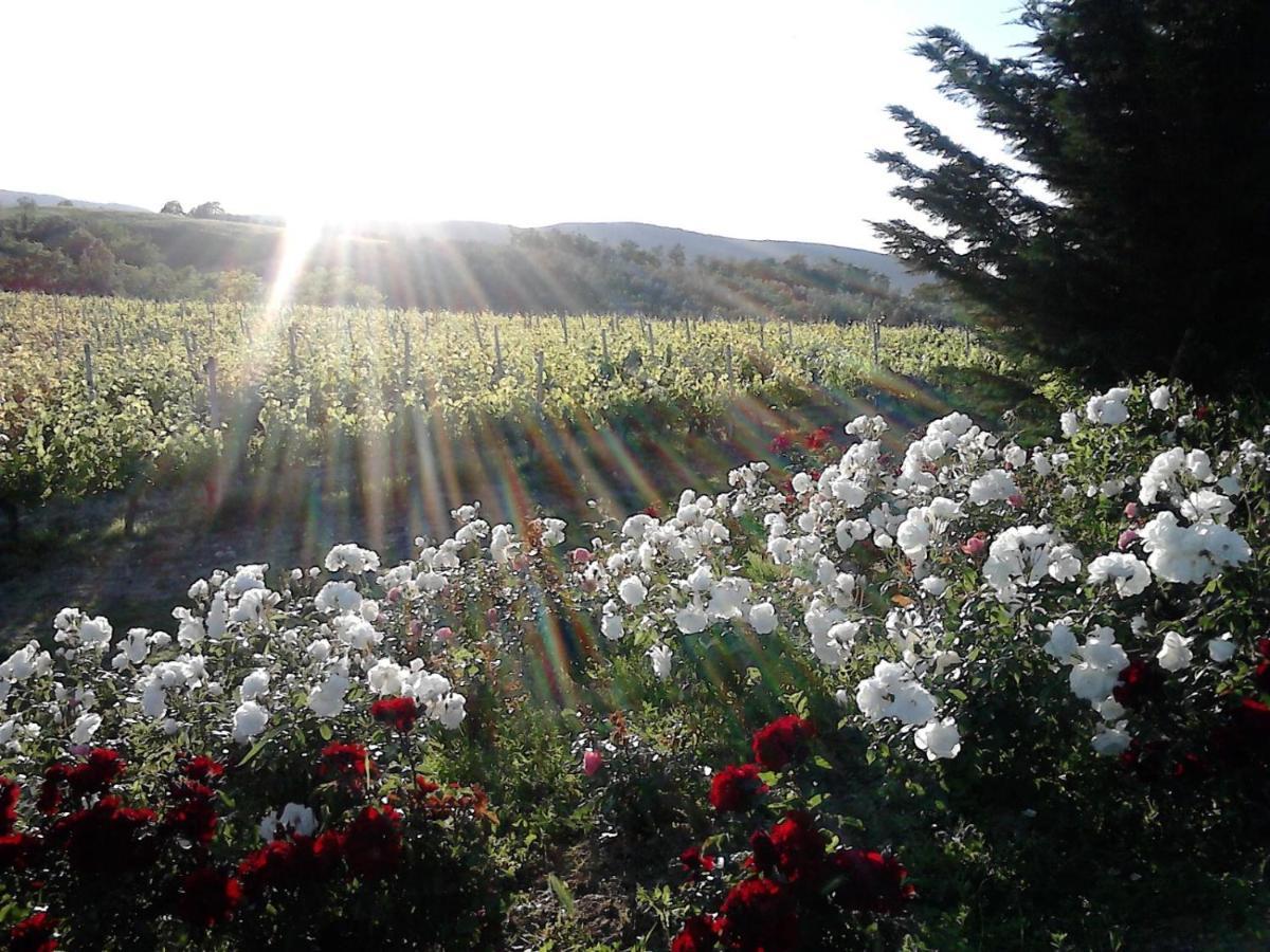 Agriturismo Fattoria Il Piano - Casa Bugno - San Gimignano Βίλα Εξωτερικό φωτογραφία