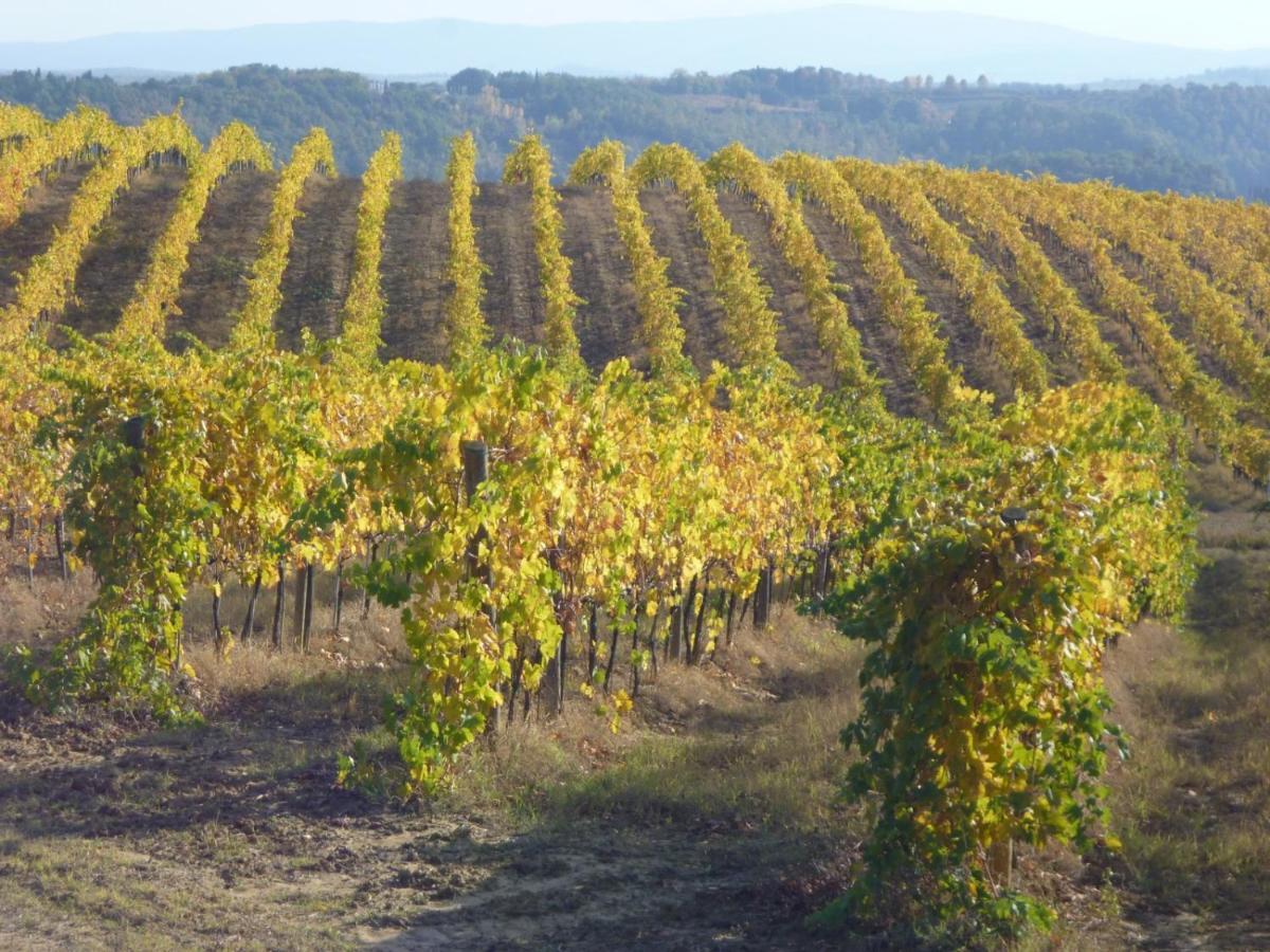 Agriturismo Fattoria Il Piano - Casa Bugno - San Gimignano Βίλα Εξωτερικό φωτογραφία