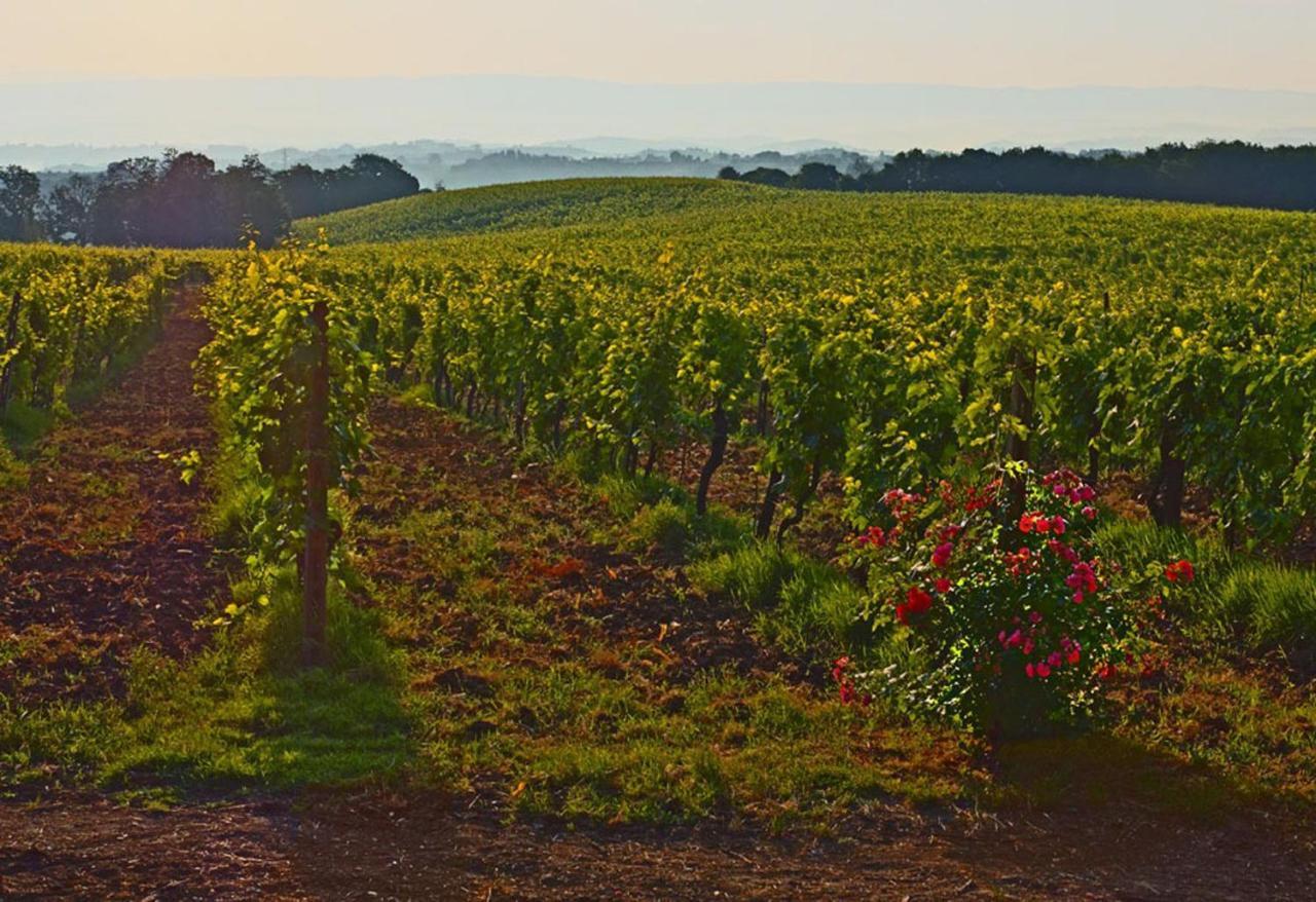 Agriturismo Fattoria Il Piano - Casa Bugno - San Gimignano Βίλα Εξωτερικό φωτογραφία