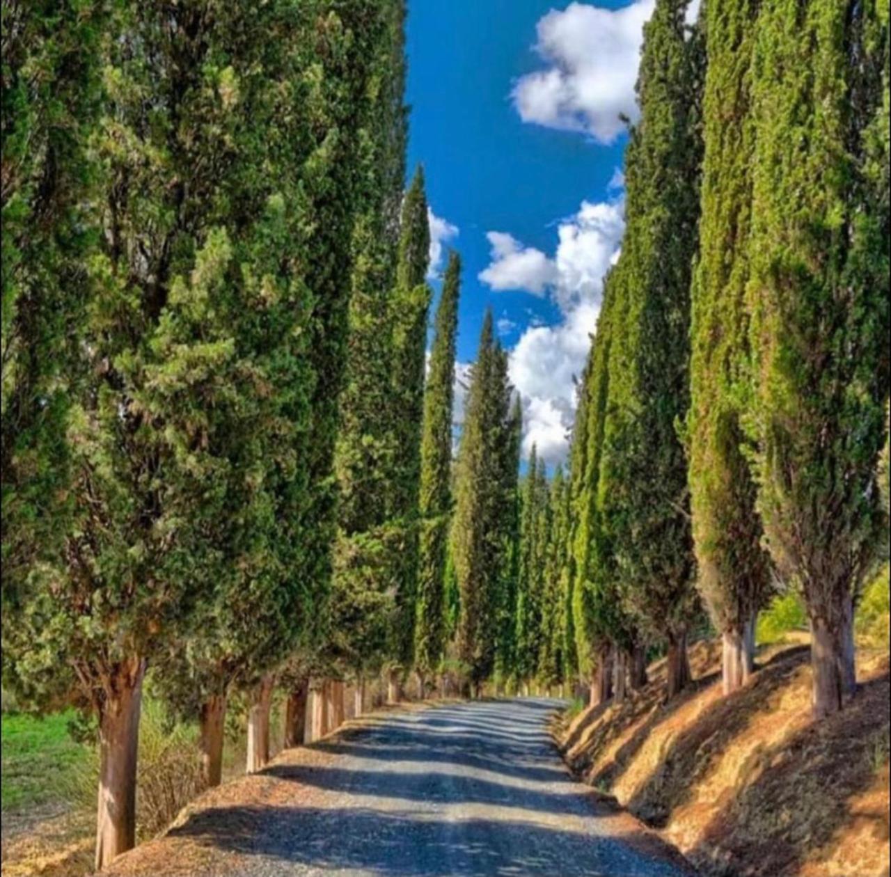 Agriturismo Fattoria Il Piano - Casa Bugno - San Gimignano Βίλα Δωμάτιο φωτογραφία