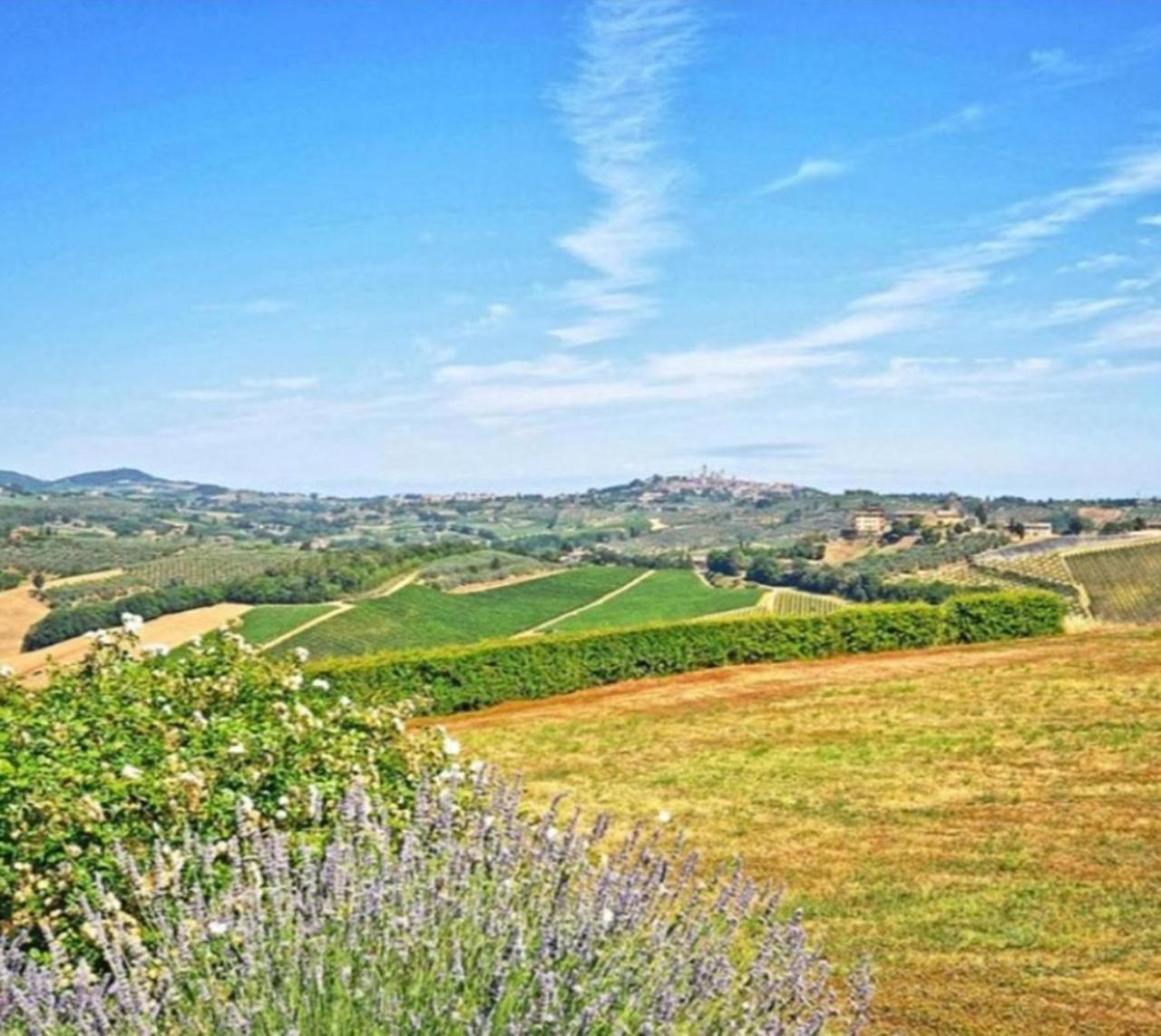 Agriturismo Fattoria Il Piano - Casa Bugno - San Gimignano Βίλα Δωμάτιο φωτογραφία